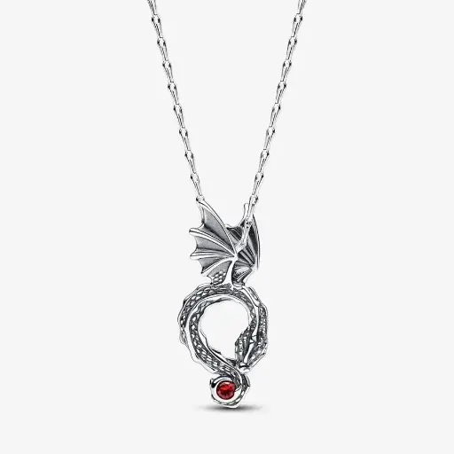 [20241115065] Collar Dragon